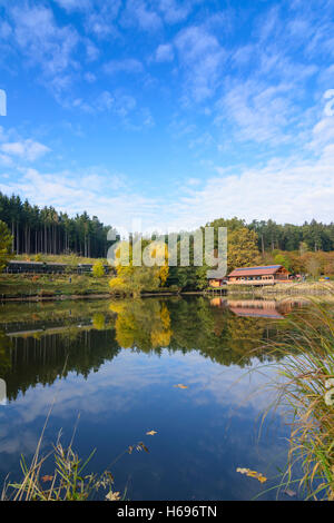 Weitersfeld: Sonderzug Reblausexpress im Anglerparadies Hessendorf, Fischteich, Waldviertel, Niederösterreich, Niederösterreich, Stockfoto