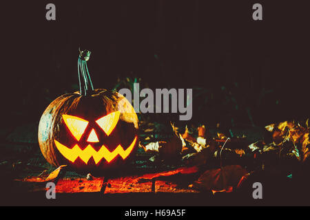 Glühenden Kürbis symbolisiert den Kopf, die des alten Jack, mit Herbst Nacht in einem gespenstisch dunklen Hintergrund verlässt. Soft-Fokus. flachen DOF Stockfoto