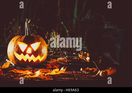 Leuchtende Kürbis symbolisieren die Leiter der alten Jack, mit Blätter im Herbst in einem gespenstisch dunklen Hintergrund. Soft Focus. seichte dof Stockfoto