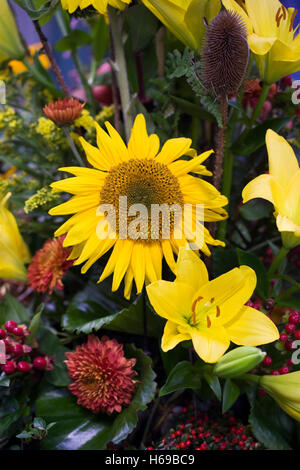 Eine Anordnung der Herbst Blumen. Stockfoto