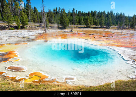 Schöne und bunte Silex Spring im Yellowstone National Park von Firehole Lake Drive aus gesehen Stockfoto