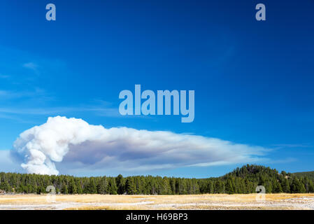 Rauch von einem Waldbrand im Yellowstone National Park Stockfoto