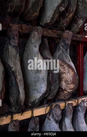 Serrano-Schinken Beine in Sušara Räucherei. Njeguška Pršuta (Njeguški Pršut) ist ein trocken-kuriert Schinken, der italienischen Prosciutto ähnelt Stockfoto