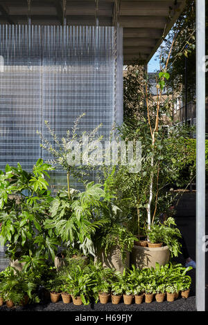 Das schaffen Struktur, Karlsplatz, Detail der Pflanzung. MINI lebendiger Wald Installation, London, Vereinigtes Königreich. Architekt: Asif Khan, 2016. Stockfoto