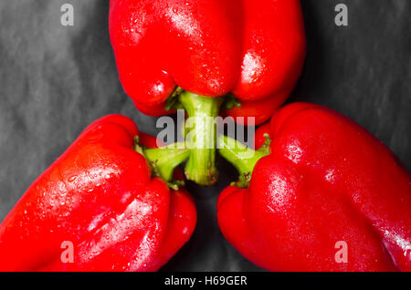 Drei rote Paprika auf schwarzem Hintergrund Stockfoto