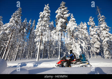 Mann fahren mit Motorschlitten im verschneiten Wald an einem sonnigen Tag. Lappland, Finnland. Stockfoto