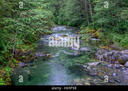 USA, Oregon, Willamette National Forest, Opal Creek malerischen Erholungsgebiet, Little North Santiam River und üppigen Wald im Frühjahr Stockfoto