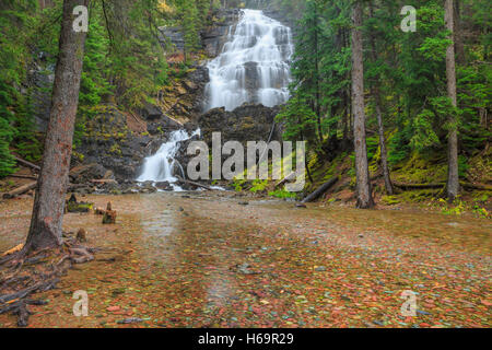 Morrell Creek fällt im Lolo National Forest in der Nähe von Seeley Lake, montana Stockfoto