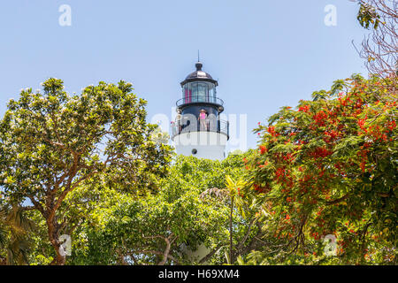 Blick vom Rasen von Ernest Hemingway Home Museum für die Key West Lighthouse Museum, erbaut im Jahre 1848 hat 88 Stufen, ist 50 Fuß hoch Stockfoto