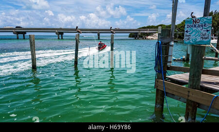 Das Dock an Robbie, ein beliebtes Touristenziel für Fischen und Essen auf Islamorada Key in den Florida Keys. Stockfoto