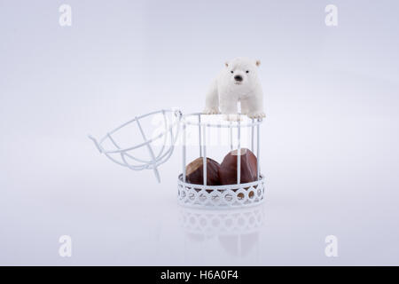 C Eisbär Eisbär in der Nähe von einem offenen Käfig mit Fuchs auf weißem Hintergrund Stockfoto