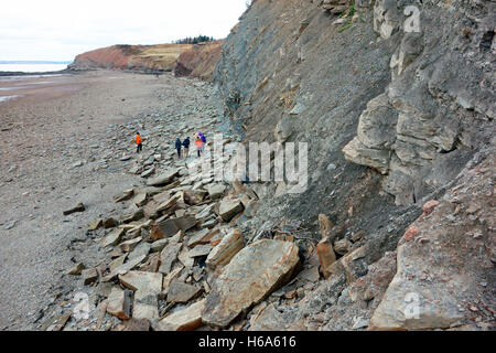 Joggins Fossil Cliffs Geopark an der Bay of Fundy in Nova Scotia Kanada ist Kanadas 15. UNESCO-Weltkulturerbe. Stockfoto