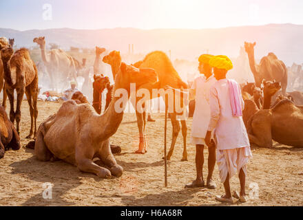 Männer besucht die Pushkar fair in Pushkar, Rajasthan, Indien. Stockfoto