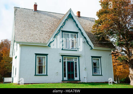 Silber-Busch, Anne of Green Gables Museum, Park Ecke, Prince Edward Island, Canada Stockfoto