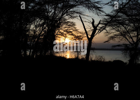 Sonnenuntergang über Lake Naivasha aus Elsamere Kenia Stockfoto