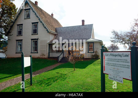 Silber-Busch, Anne of Green Gables Museum, Park Ecke, Prince Edward Island, Canada Stockfoto