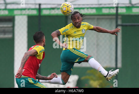 Sao Paulo, Brasilien. 25. Oktober 2016. TREINO tun PALMEIRAS - Arouca Spieler, SE Palmeiras, während des Trainings die Fußballakademie. Credit: Foto Arena LTDA/Alamy Live-Nachrichten Stockfoto