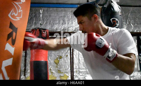 Jessy Vargas hat seine letzten Trainingseinheiten für seinen bevorstehenden Kampf mit Manny Pacquiao. 20. Oktober 2016. Die beiden kämpfen am 5. November in der Thomas & Mac-Arena in Las Vegas. Foto von gen BlevinsLA DailyNewsZumaPress © gen Blevins/ZUMA Draht/Alamy Live-Nachrichten Stockfoto