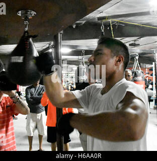 Jessy Vargas hat seine letzten Trainingseinheiten für seinen bevorstehenden Kampf mit Manny Pacquiao. 20. Oktober 2016. Die beiden kämpfen am 5. November in der Thomas & Mac-Arena in Las Vegas. Foto von gen BlevinsLA DailyNewsZumaPress © gen Blevins/ZUMA Draht/Alamy Live-Nachrichten Stockfoto