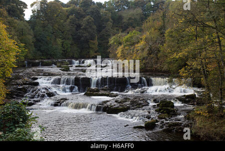 Wensleydale, North Yorkshire, UK. 26. Oktober 2016. Der Upper fällt auf den Fluß Ure in Aysgarth, Wensleydale, North Yorkshire, England UK Credit: David praktischen/Alamy Live-Nachrichten Stockfoto