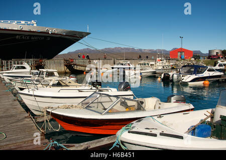 Europa, Grönland, Kujalleq Gemeinde Narsarsuaq (Bedeutung: großen Plan, alte Schreibweise: Narssarssuaq), Boote im Hafen Stockfoto