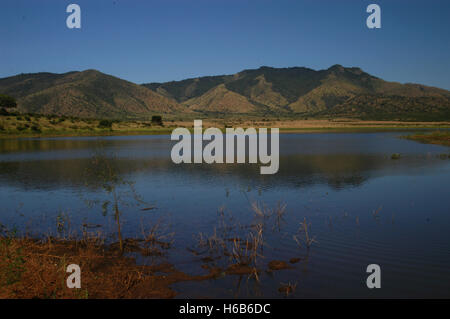 Dindira Damm, Mkomazi Nationalpark, Tansania Stockfoto