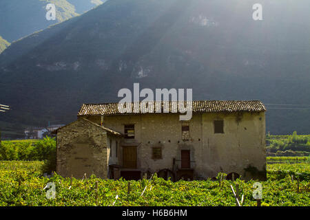 alten, verlassenen Haus in den Bergen in Italien Stockfoto