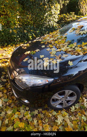 schwarzes Auto abgedeckt in gelb im Herbst Laub aus Ahornbaum im Herbst Stockfoto