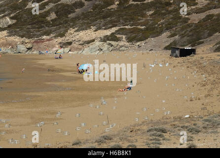 Geschützten Bereich um Schildkröte Nistplätze am Lara Strand auf der Akamas-Halbinsel, Republik Zypern Stockfoto