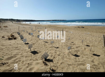 Geschützten Bereich um Schildkröte Nistplätze am Lara Strand auf der Akamas-Halbinsel, Republik Zypern Stockfoto