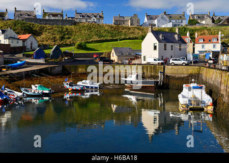 Hafen von St. Abbs, Berwickshire, Schottland, Scotland, UK Stockfoto