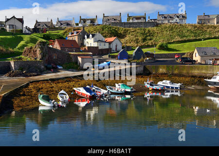 Hafen von St. Abbs, Berwickshire, Schottland, Scotland, UK Stockfoto