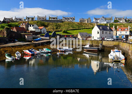 Hafen von St. Abbs, Berwickshire, Schottland, Scotland, UK Stockfoto