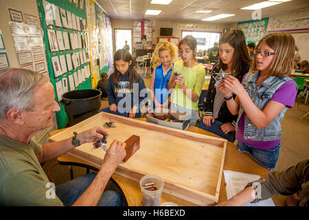 Begeisterte multirassische Grundschüler in Mission Viejo, Kalifornien, zeigen Klasse-Projekt Roboter auf einer Tischplatte ein freiwilliger pensionierter Ingenieur. Stockfoto