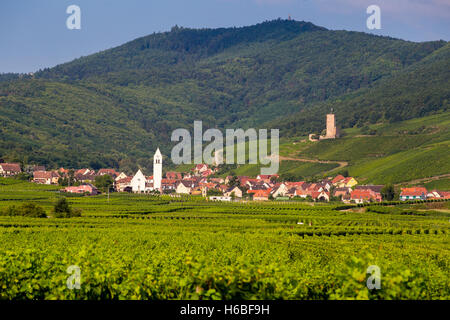 Katzenthal Dorf und die umliegenden Weinberge an der Weinstraße im Elsass/Frankreich Stockfoto