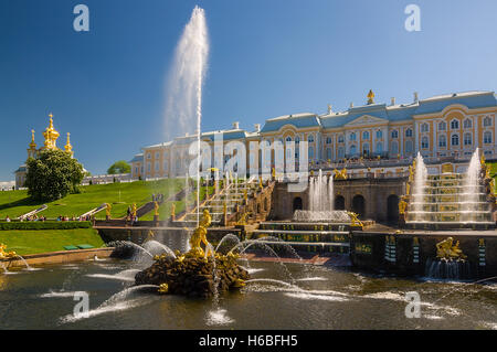 Großen Peterhofer Palast, die große Kaskade und Samson-Brunnen. Stockfoto