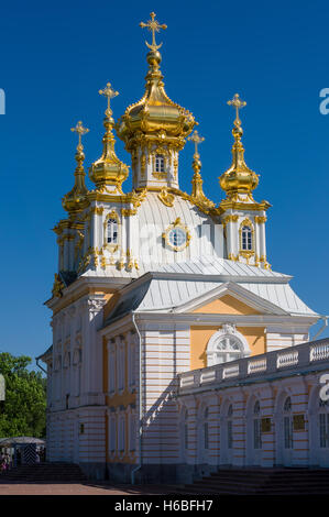 Peter und Paul Kirche am großen Peterhofer Palast, Sankt Petersburg, Russland. Barock-Stil. Stockfoto