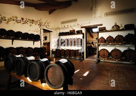 Balsamico-Essig Hersteller, Modena, Emilia Romagna, Italien Stockfoto