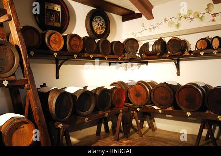 Balsamico-Essig Hersteller, Modena, Emilia Romagna, Italien Stockfoto