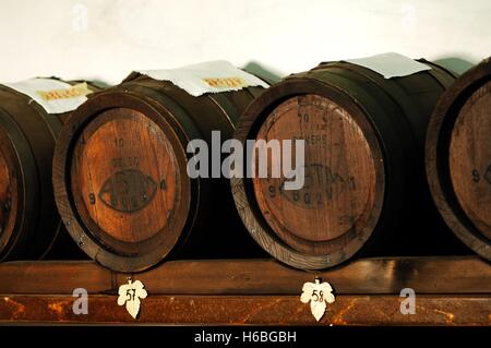 Balsamico-Essig Hersteller, Modena, Emilia Romagna, Italien Stockfoto