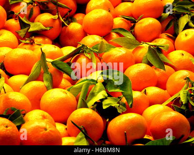 Frische Mandarinen mit hellgrünen Blätter auf einem Marktstand in Valencia, Spanien. Frisches Obst warten gekauft werden Stockfoto