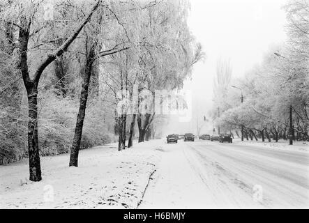 Winter-Stadt-Straße mit Autos und verschneiten Bäumen an den Seiten Stockfoto