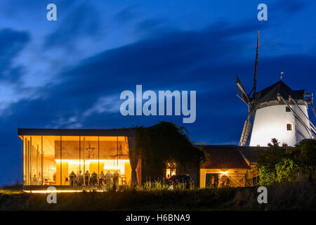 Retz: Windmühle, Windmühle, "Windmühlheuriger" Heuriger Wein Restaurant, Weinviertel, Niederösterreich, Niederösterreich, Österreich Stockfoto