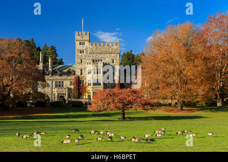 Hatley Castle königliche Straßen Universität mit herbstlichen Bäume-Victoria, British Columbia, Kanada. Stockfoto