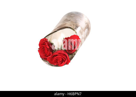 Rote Blumen in Glas Stockfoto