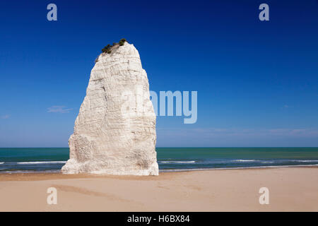 Pizzomunno Kalkfelsen, Strand von Castello, Vieste, Gargano National Park, Provinz Foggia, Apulien, Italien Stockfoto