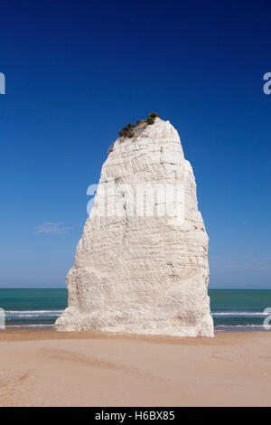 Pizzomunno Kalkfelsen, Strand von Castello, Vieste, Gargano National Park, Provinz Foggia, Apulien, Italien Stockfoto