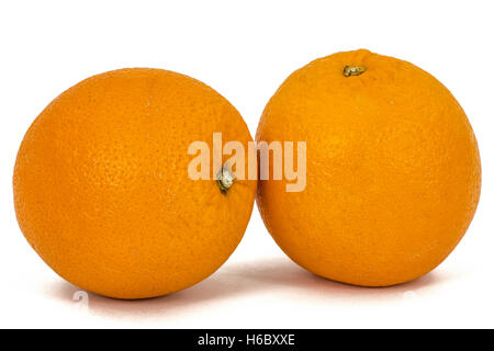 Zwei orange Frucht, isoliert auf weißem Hintergrund Stockfoto