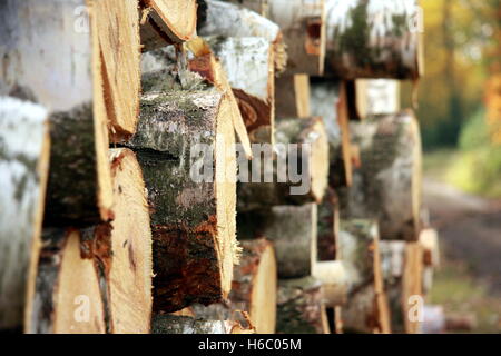 Stapel von hölzernen anmeldet Holzernte Unternehmen Stockfoto