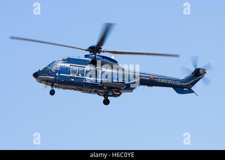 Bundespolizei Aerospatiale AS - 332L 1 Super Puma kommt nach einer Search and Rescue Mission über dem Mittelmeer zu landen. Stockfoto